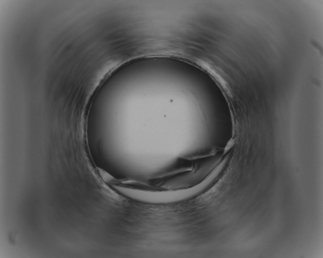 X0000091181477200709060944