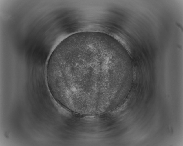 X0000091181478200709060944