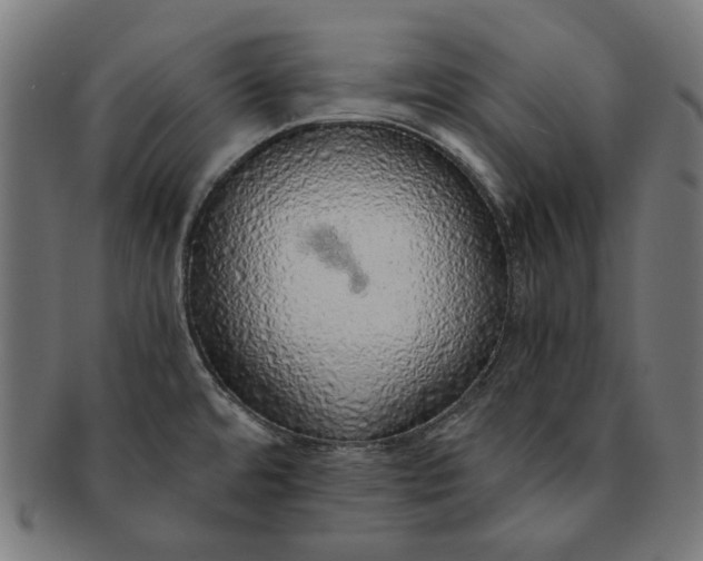 X0000091181480200709060944