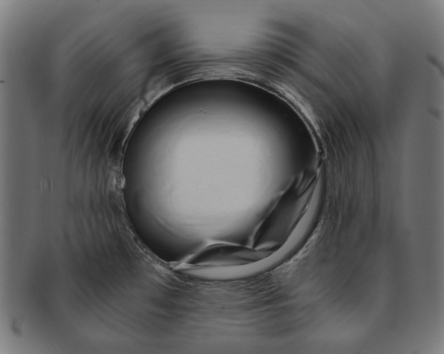 X0000091181481200709060944