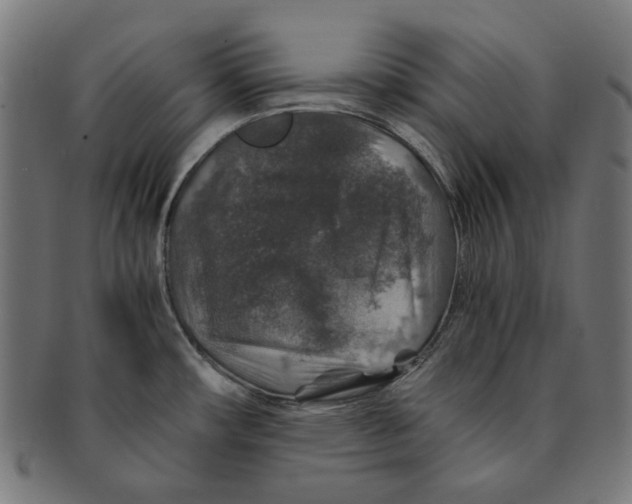 X0000091181482200709060944