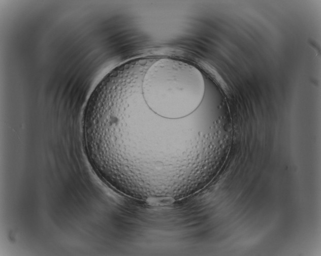 X0000091181483200709060944
