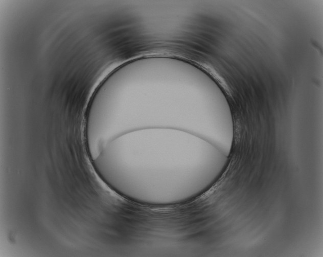 X0000091181484200709060944