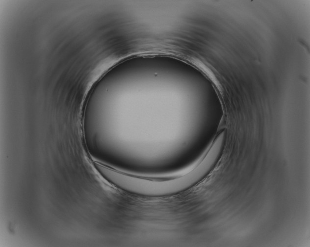 X0000091181485200709060944
