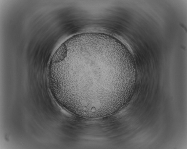 X0000091181486200709060944