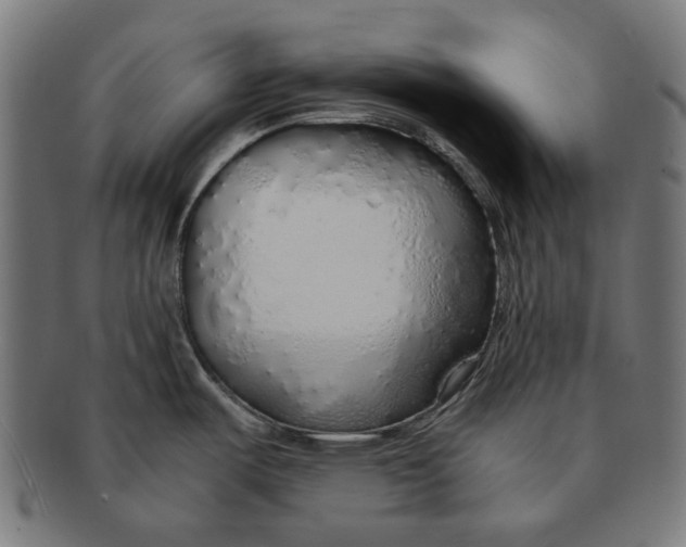 X0000091181487200709060944