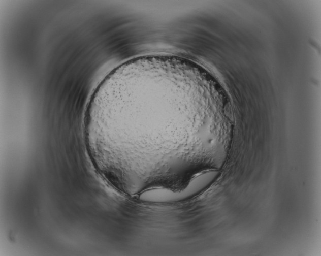 X0000091181488200709060944
