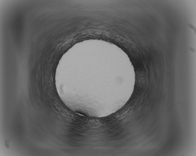 X0000091181489200709060943