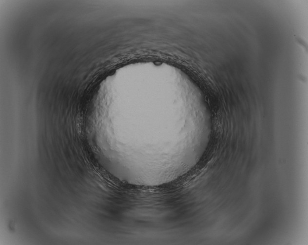 X0000091181490200709060943