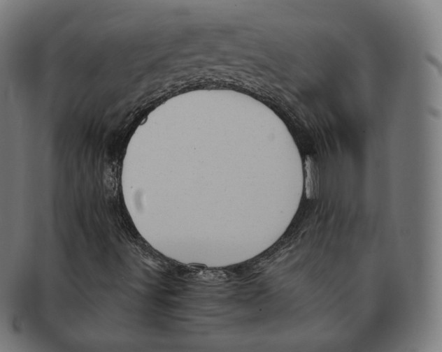 X0000091181491200709060943