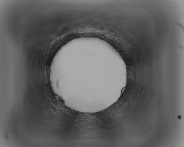 X0000091181493200709060943