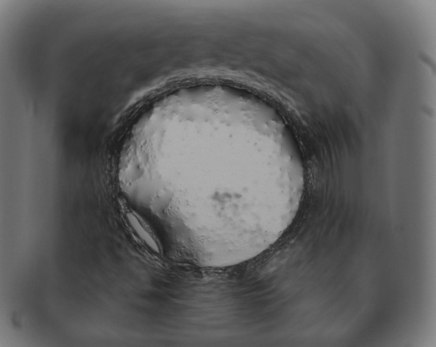 X0000091181494200709060943