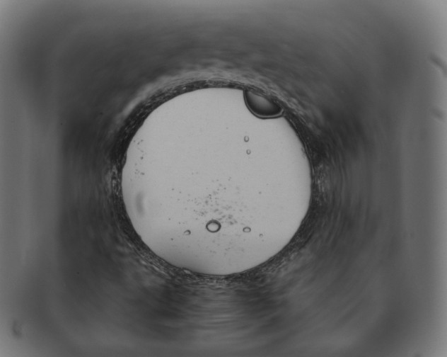 X0000091181495200709060943