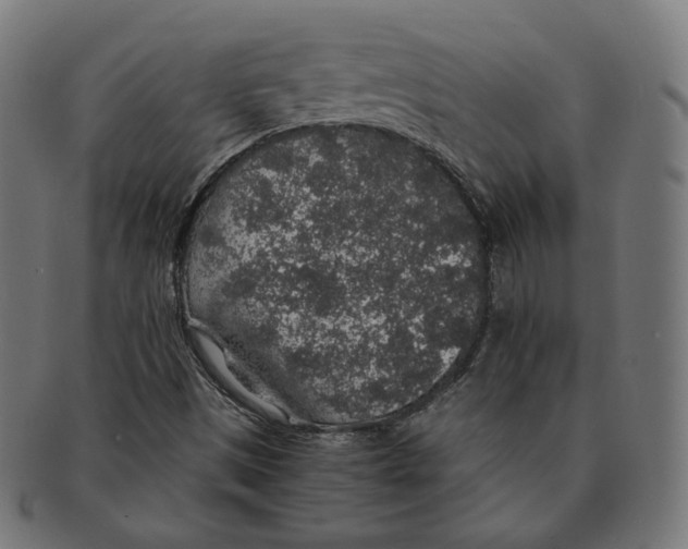 X0000091181497200709060943