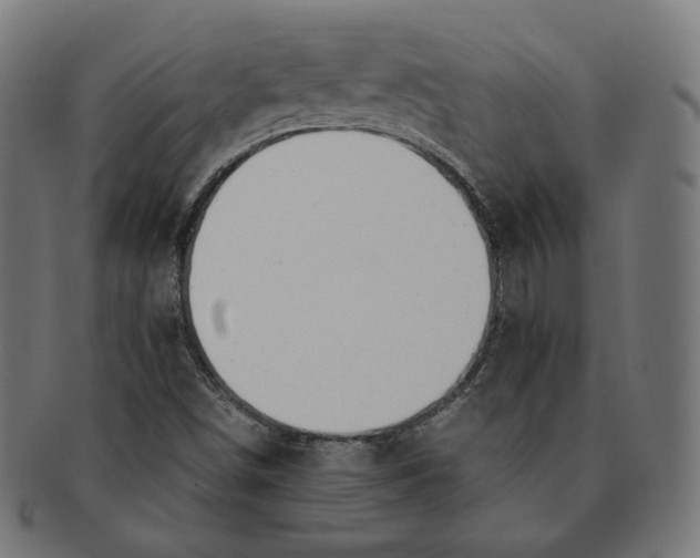 X0000091181498200709060943
