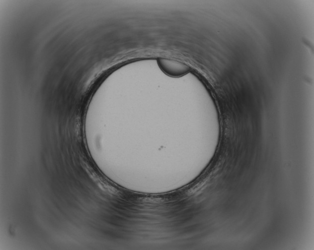 X0000091181499200709060943