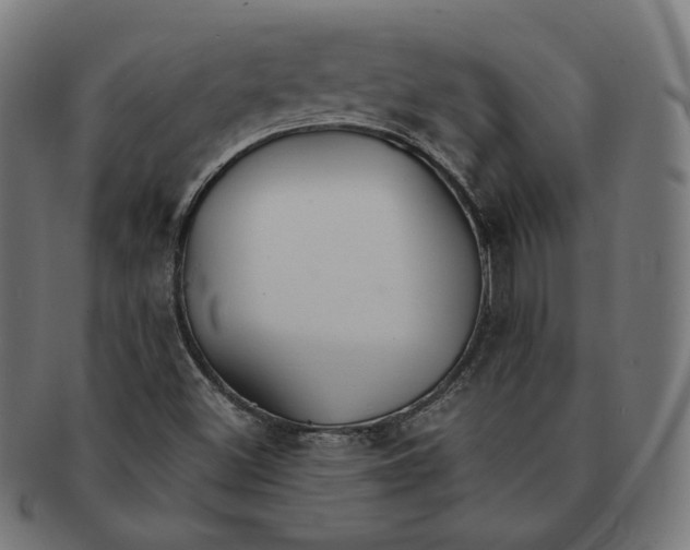 X0000091181500200709060943