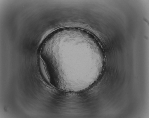 X0000091181501200709060943