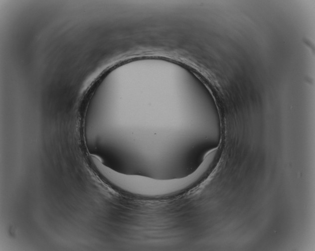 X0000091181502200709060943