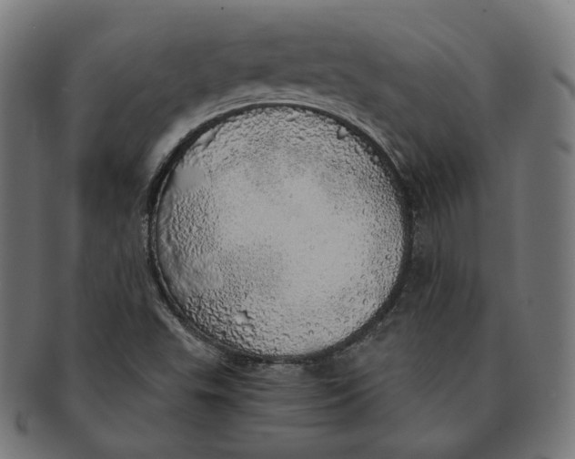X0000091181503200709060944