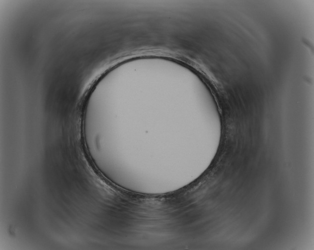 X0000091181504200709060944