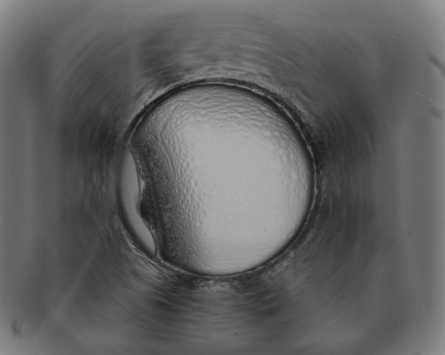 X0000091181505200709060944