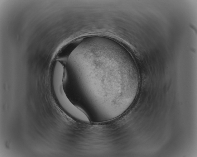 X0000091181506200709060944