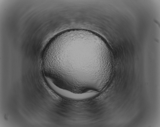 X0000091181507200709060944