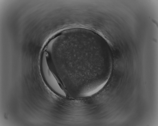 X0000091181508200709060944
