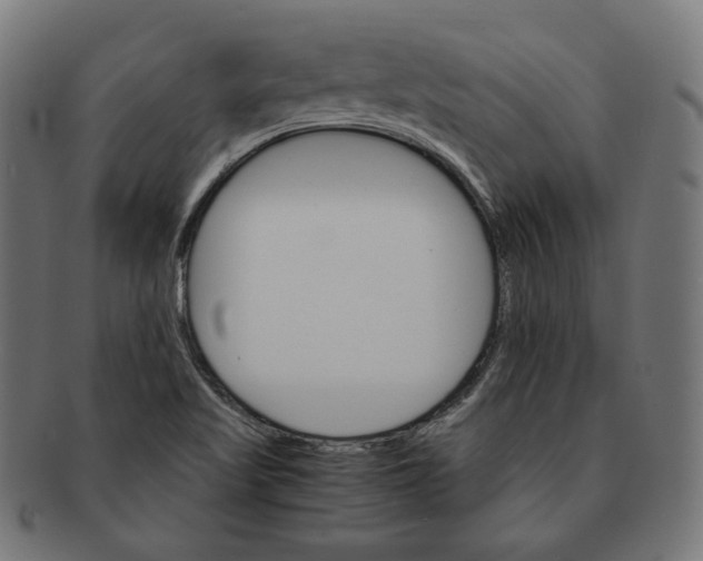 X0000091181509200709060944