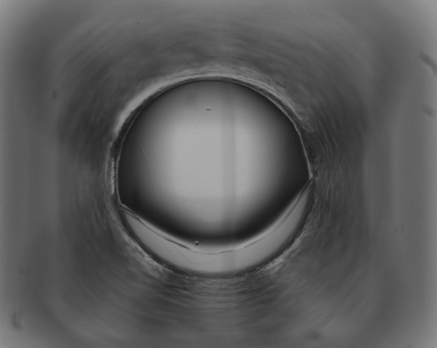 X0000091181510200709060944