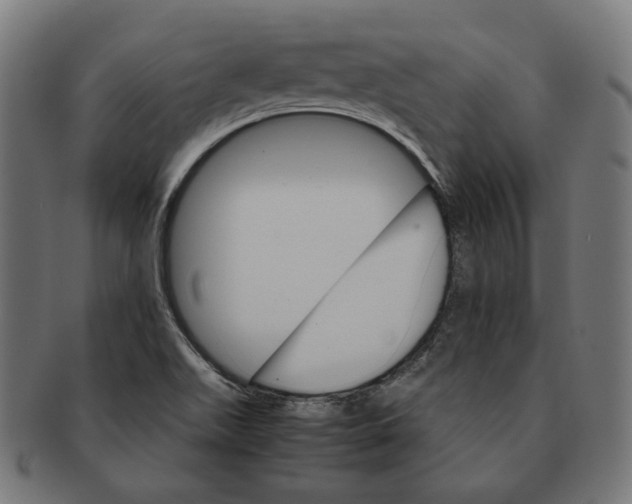X0000091181511200709060944