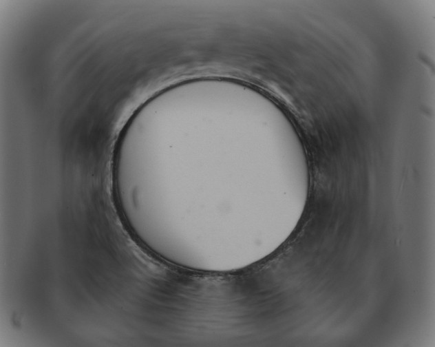 X0000091181512200709060944