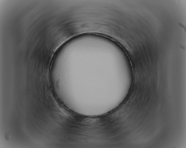 X0000091181513200709060944