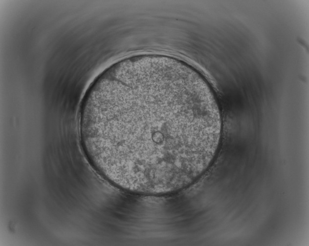 X0000091181514200709060944