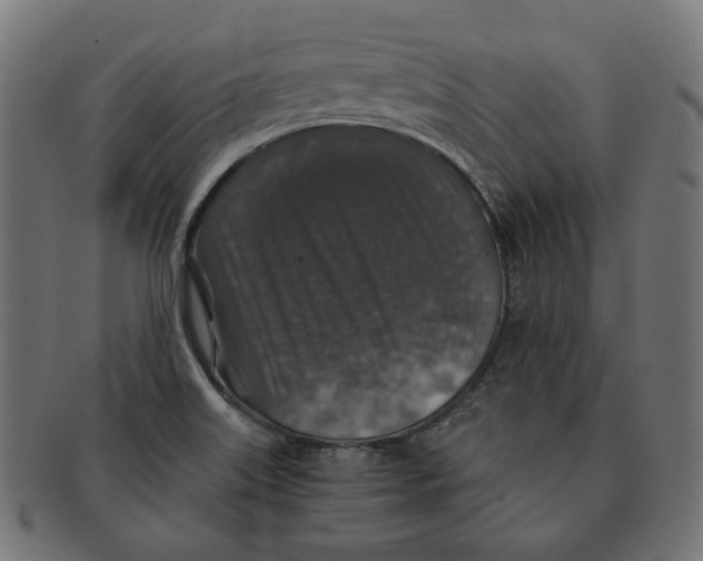 X0000091181515200709060944