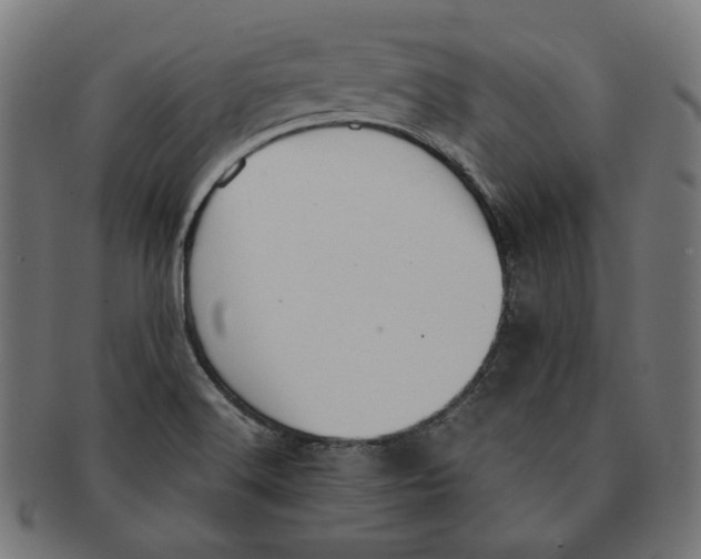 X0000091181516200709060944
