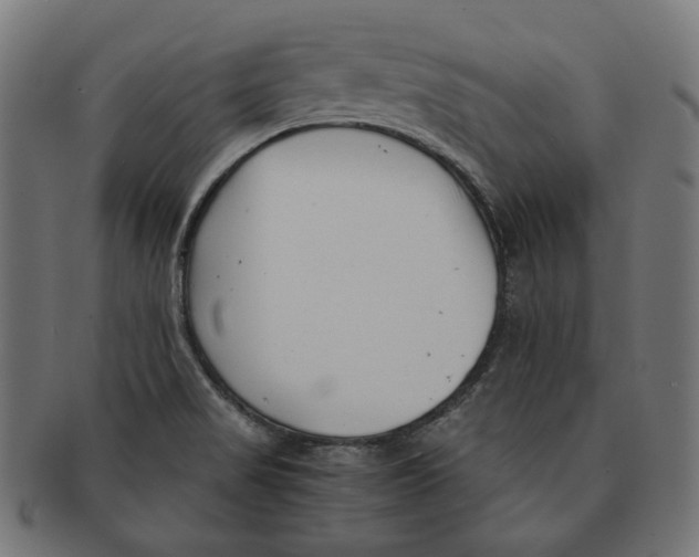 X0000091181517200709060944