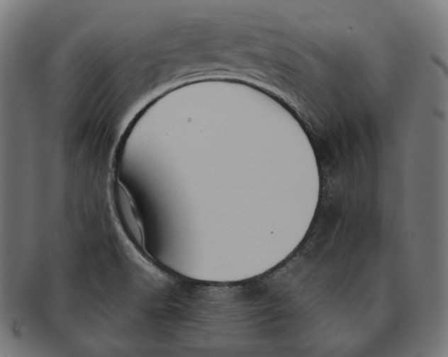 X0000091181518200709060944