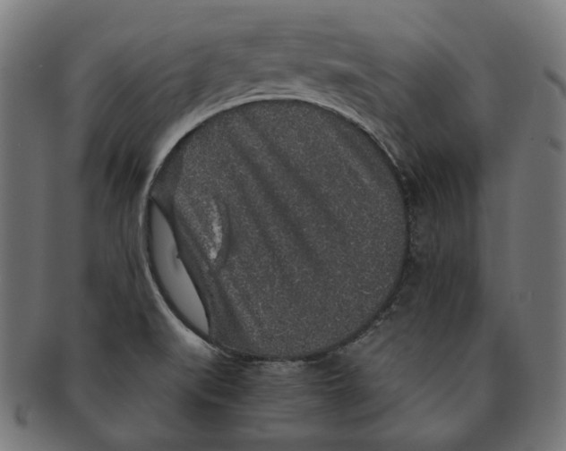 X0000091181519200709060944