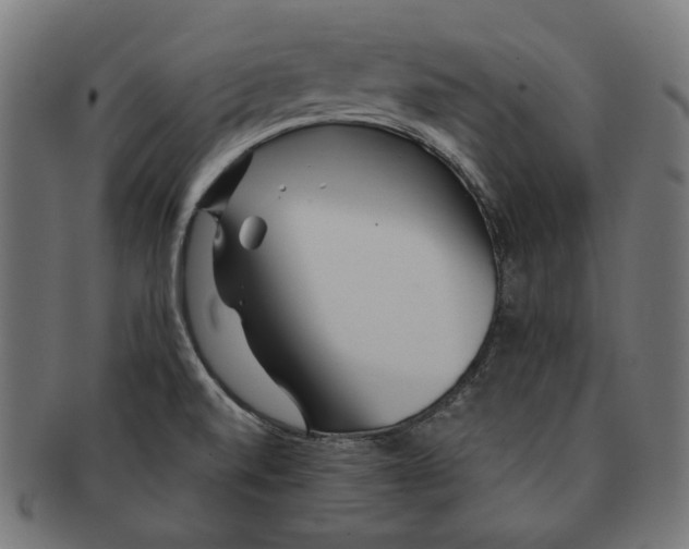X0000091181520200709060944