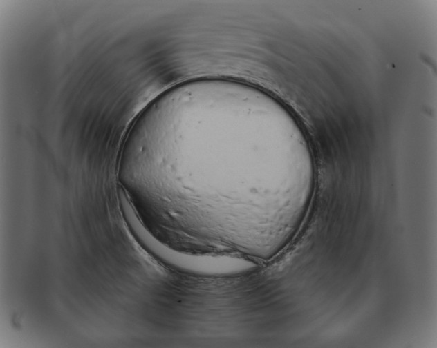 X0000091181521200709060944
