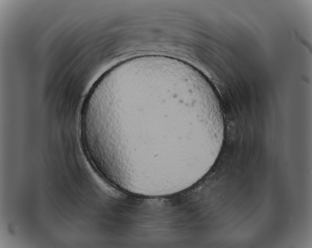 X0000091181523200709060944