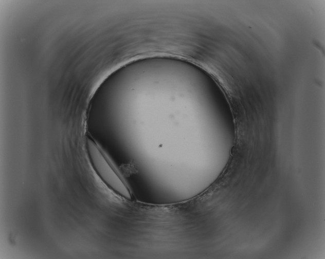 X0000091181524200709060944