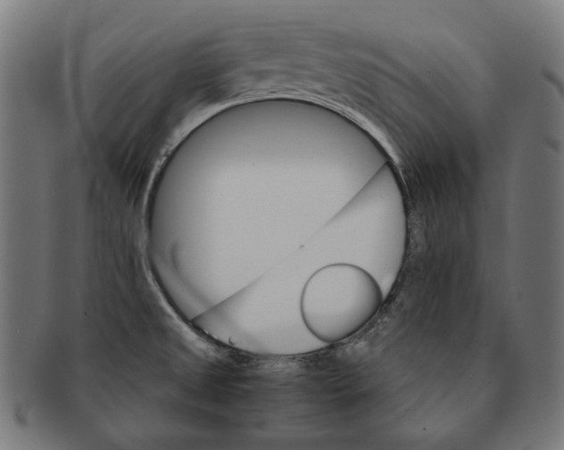 X0000091181525200709060944