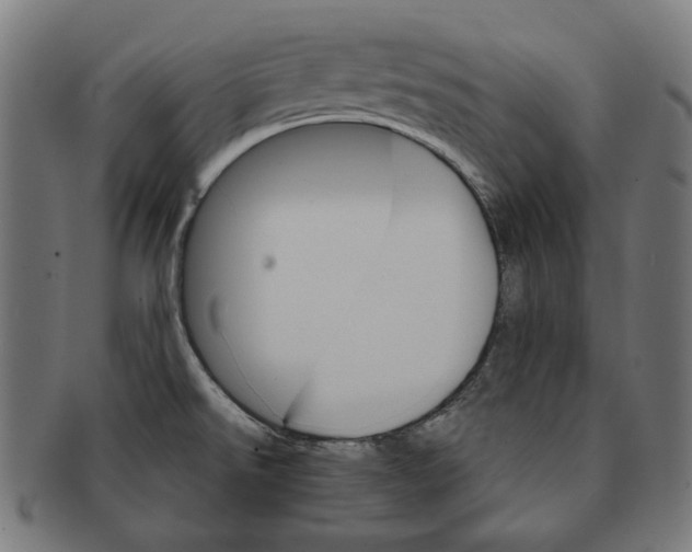 X0000091181526200709060944