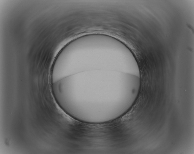 X0000091181527200709060944