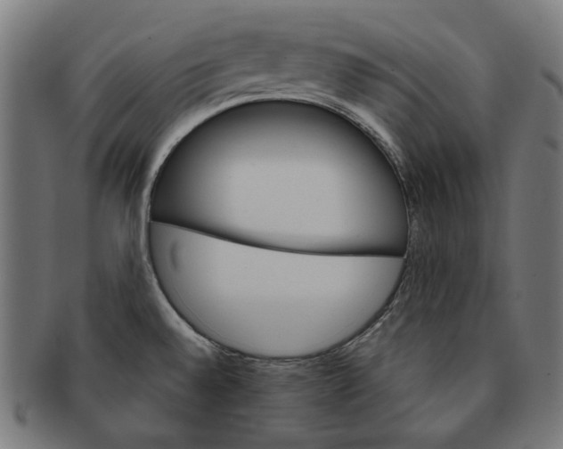 X0000091181528200709060944