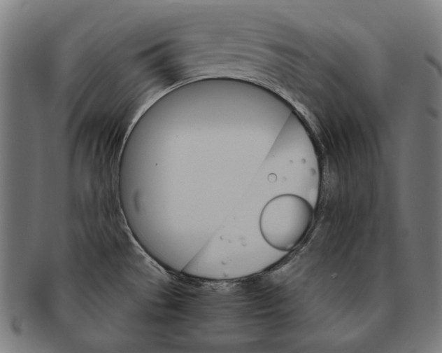 X0000091181529200709060944