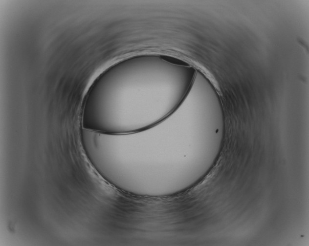 X0000091181530200709060944